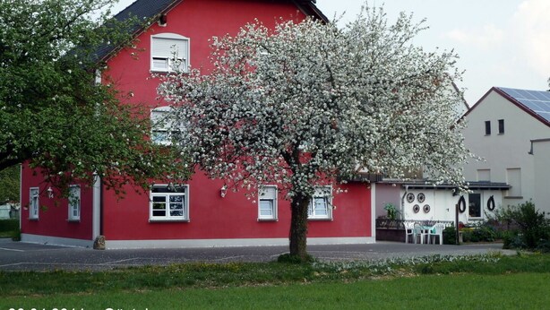 A red building with white windows and a tree in front. - Fränkischer Gasthof Lutz (Giebelstadt)