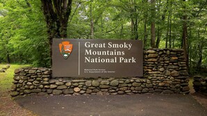 Unclassified image, 5 of 36, button - Game Room, Hot Tub, Wooded Views – Sleeps 12 – Near Dollywood & Pigeon Forge (Sevierville)