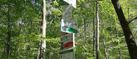 A directional signpost in a forested area with multiple signs indicating distances and directions to various locations.