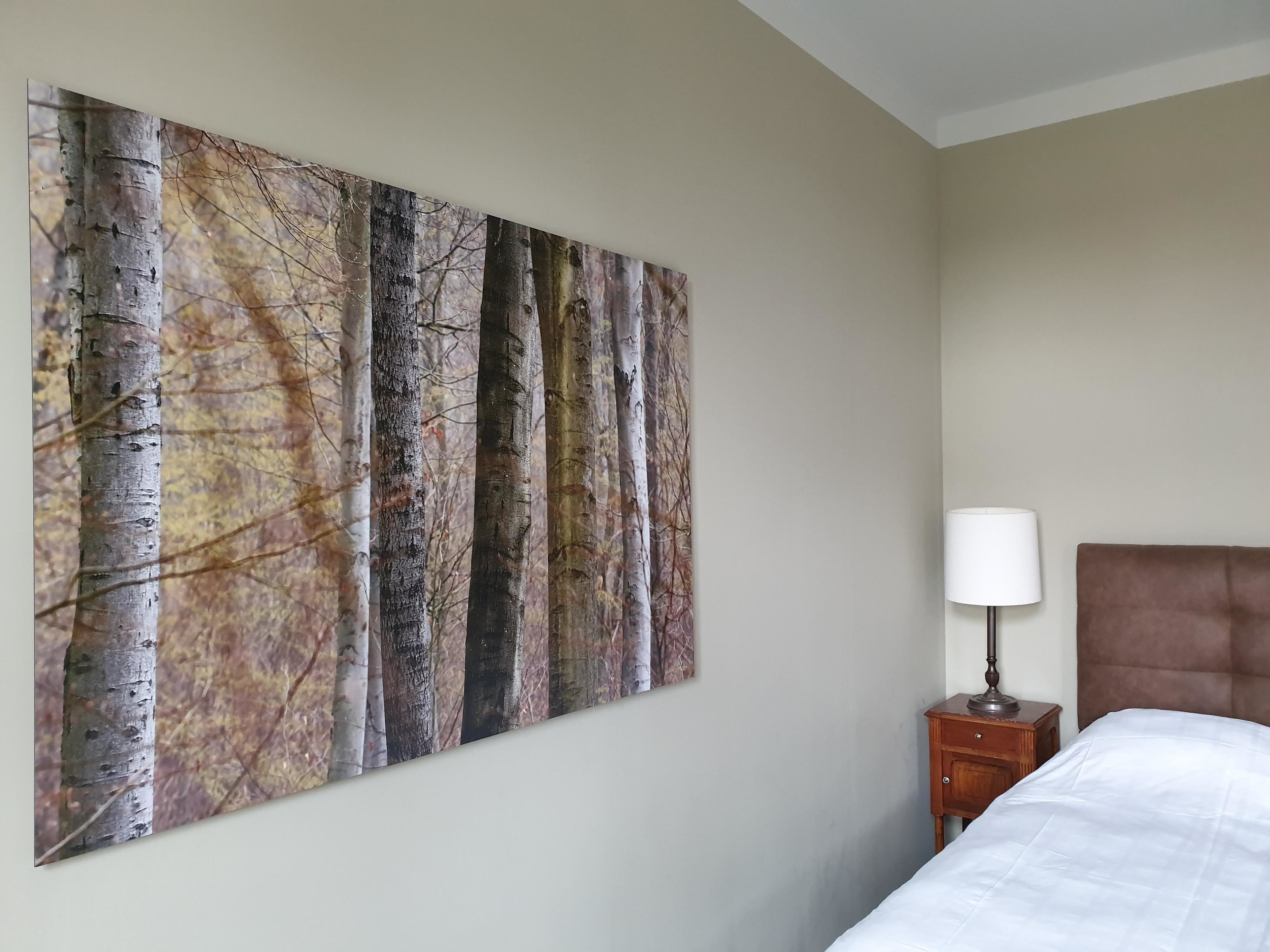 A hotel room with a large wall mural of trees, a wooden nightstand with a lamp, and a bed with a brown headboard.