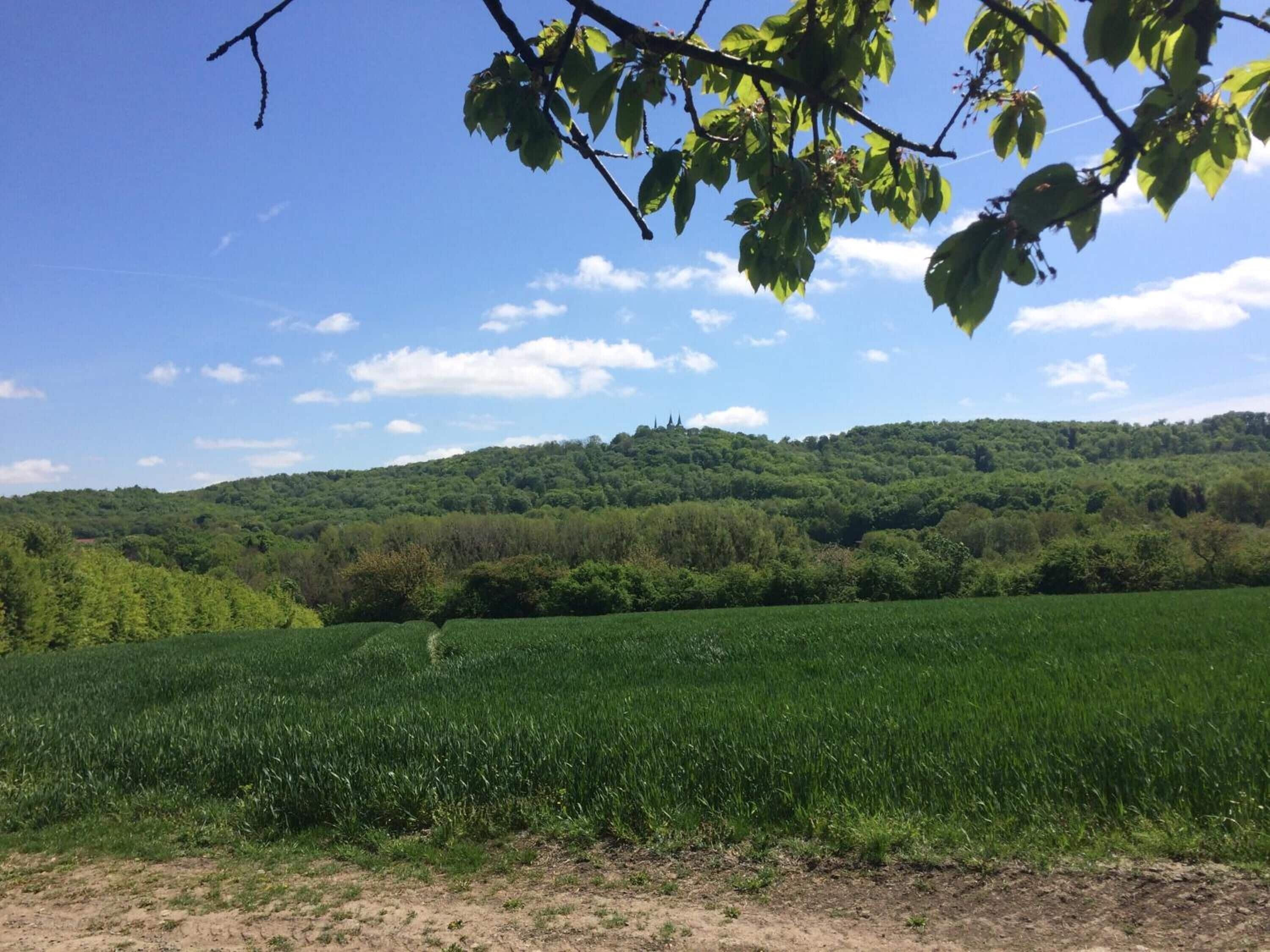 A rural landscape with a green field, a dirt path, and a hill with trees.