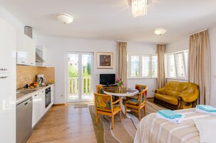 Deluxe Apartment, 1 Bedroom, City View | Living room | 20-inch plasma TV with satellite channels, TV