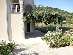 Garden - Apartments Ana Lopud (Dubrovnik)