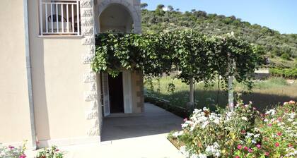 Apartments Ana Lopud