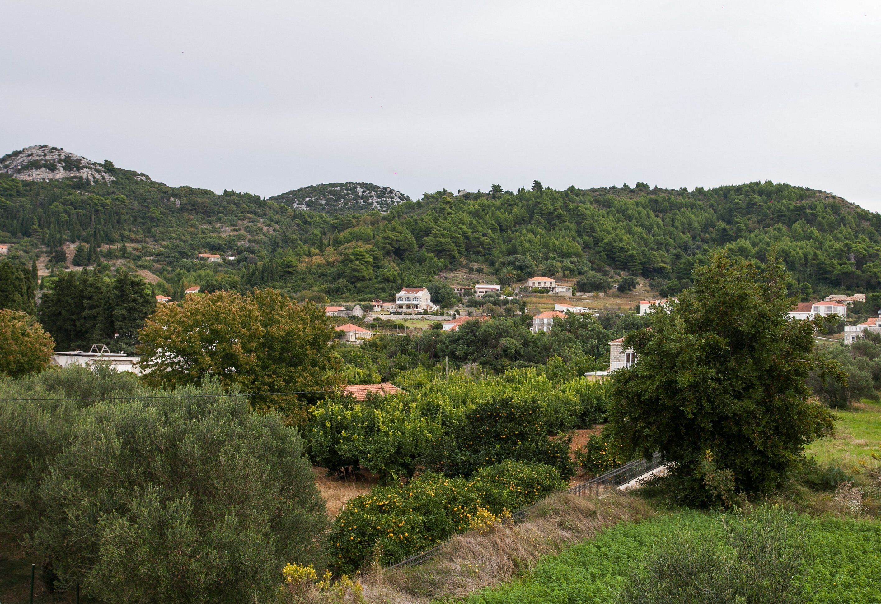 A rural village with houses on a hillside, surrounded by greenery and trees.