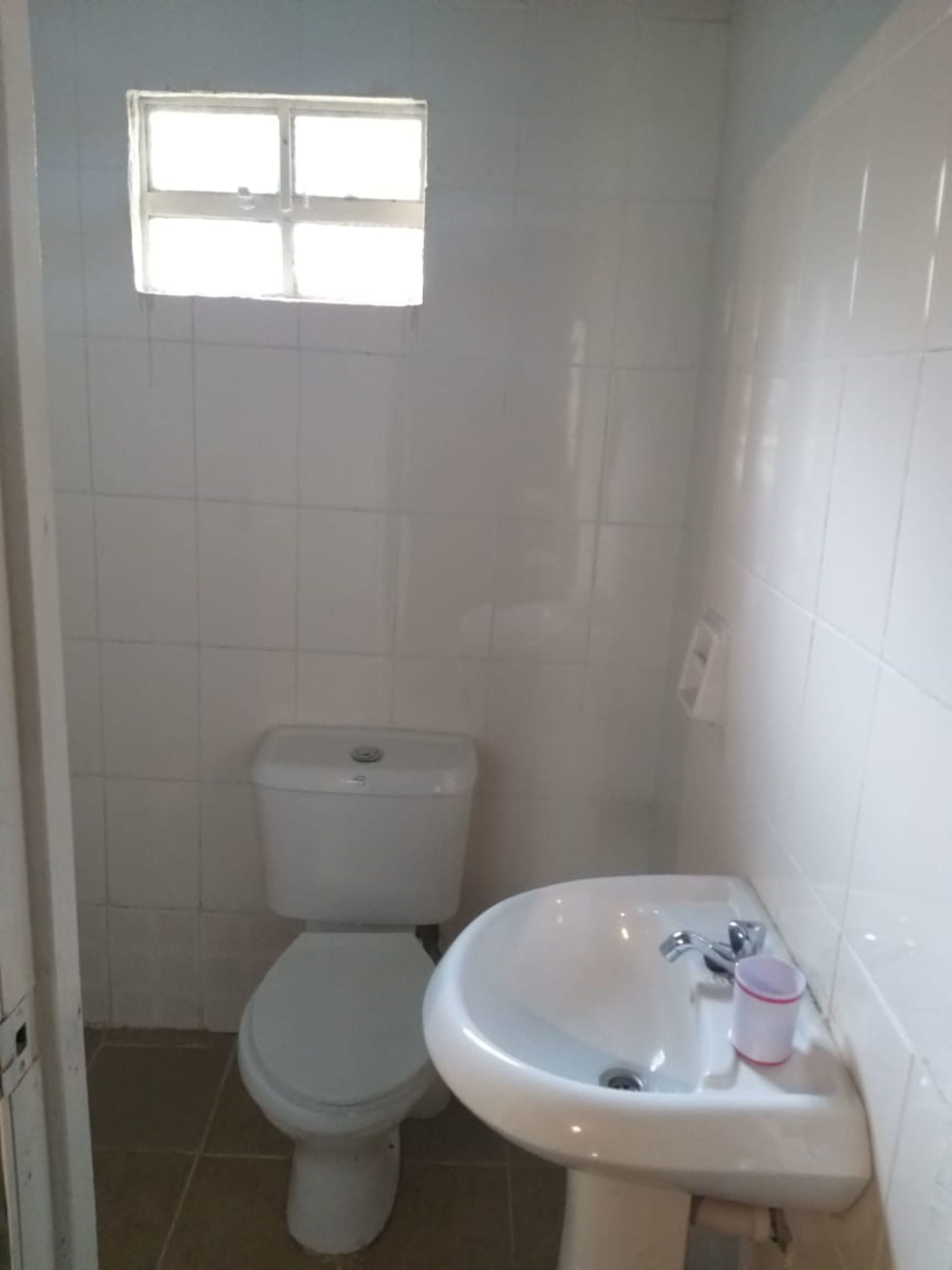 Ducha, cabezal de ducha tipo lluvia, artículos de tocador gratuitos