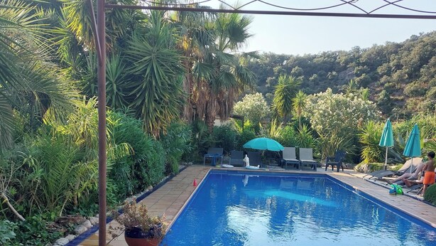 A swimming pool with a tiled deck, surrounded by lush greenery and a pergola.