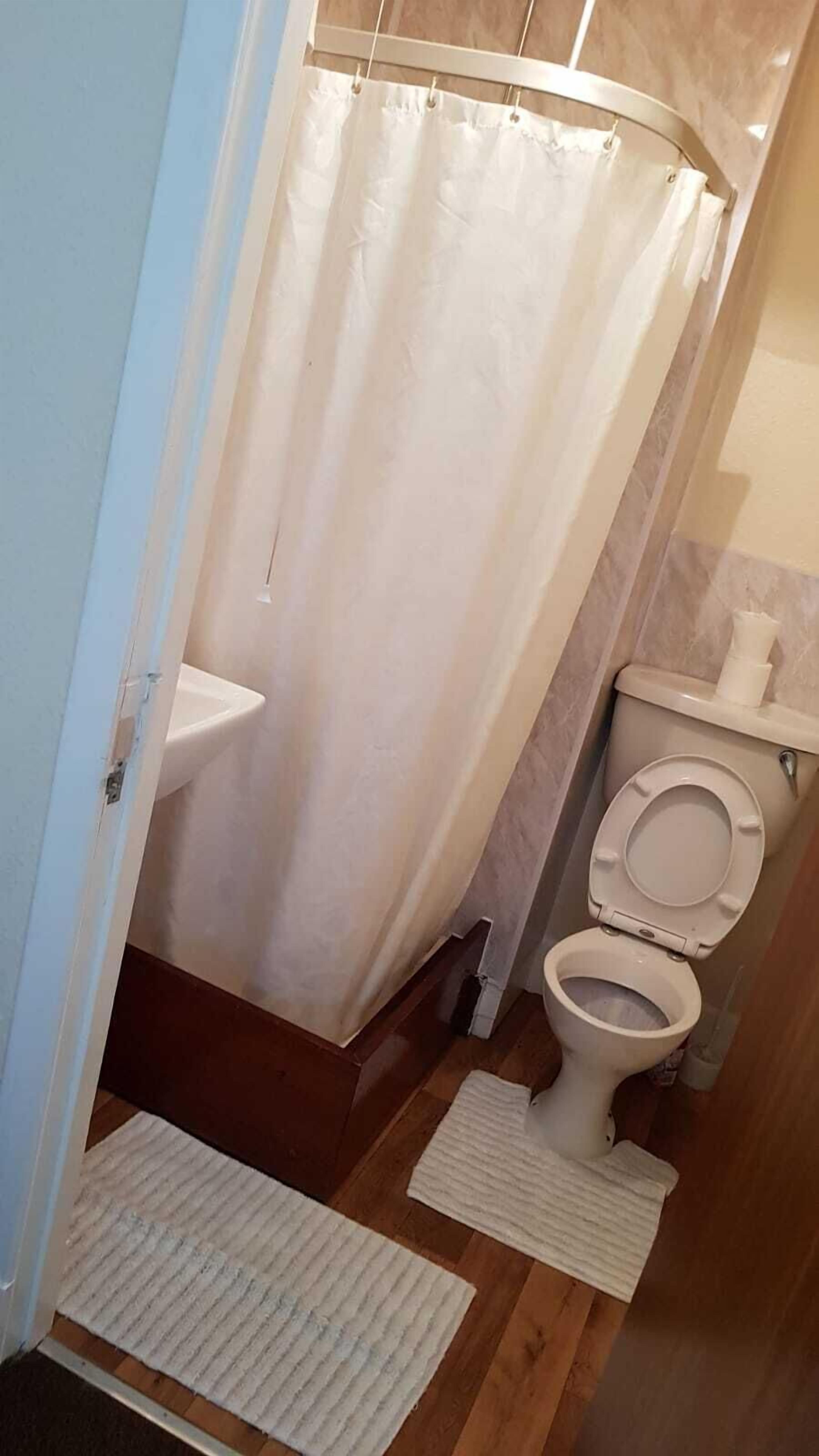 A bathroom with a shower curtain, a toilet, a sink, and a small rug on the floor.