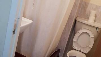 A bathroom with a shower curtain, a toilet, a sink, and a small rug on the floor.