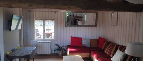 TV, fireplace, books