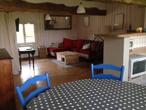 Televisión, chimenea y libros 