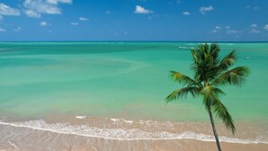 A beach with clear turquoise water, a palm tree, and a boat in the distance. - Pousada Rota Ecológica (Porto de Pedras)