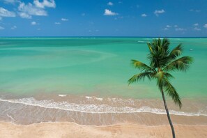 Aerial view - Pousada Rota Ecológica (Porto de Pedras)