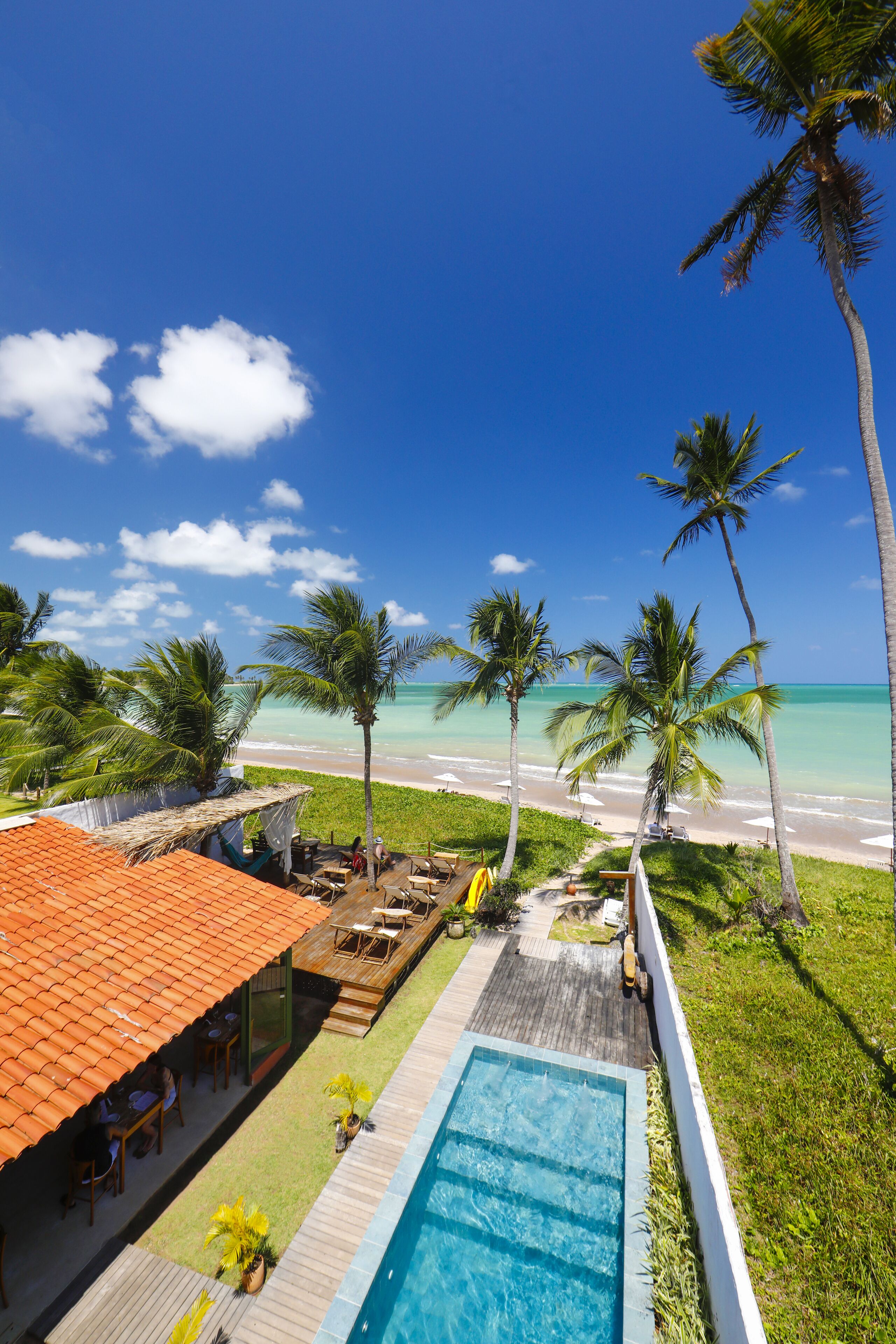 A pool area with a view of the beach and ocean, surrounded by palm trees and a building with a red roof.