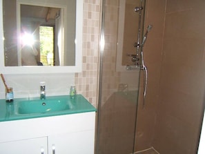 Shower, hair dryer
