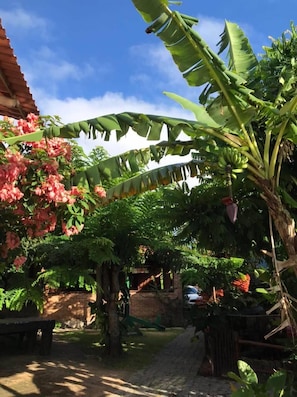 Garden - Pousada Axé (Prado)