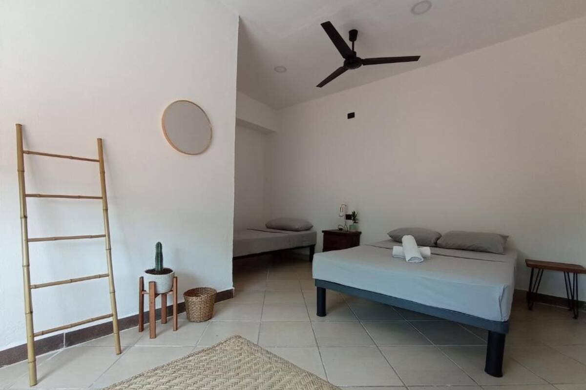 A bedroom with a bed, a ceiling fan, a ladder, a small table, and a potted plant.