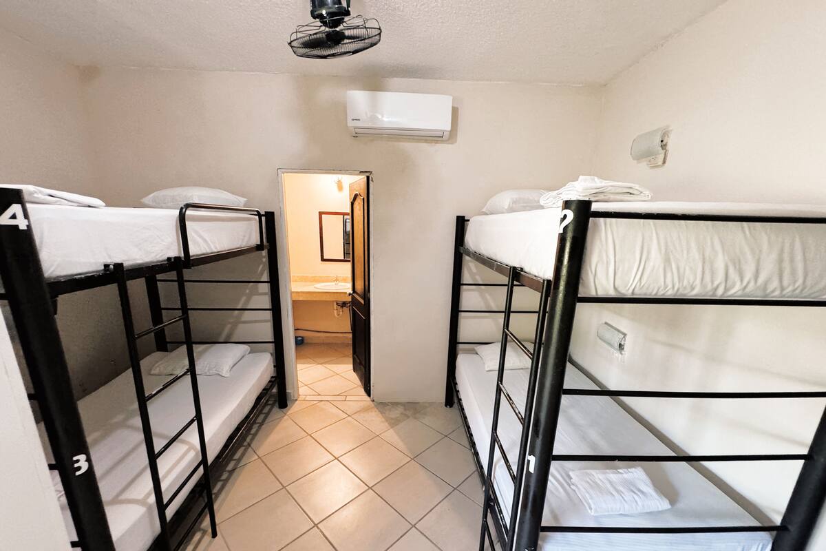 A dormitory room with bunk beds, a small bathroom, and a ceiling fan.
