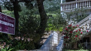 Un escalier en pierre mène à un balcon agrémenté d’une balustrade, le tout étant entouré de verdure et d’un panneau indicateur.