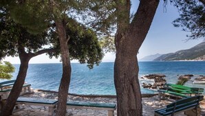 Une vue sur la côte, avec des bancs en pierre et des arbres qui surplombent la mer.