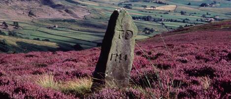 A standing stone with inscriptions in a rural landscape.
