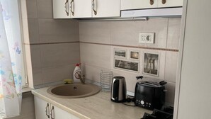 Full-sized fridge, stovetop, toaster, coffee grinder - Cristian Studio (Ploiesti)