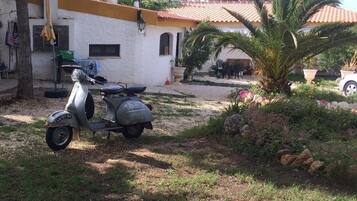Guests can enjoy a peaceful garden setting with a palm tree and a variety of plants.