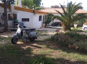 Terrain de l’hébergement 