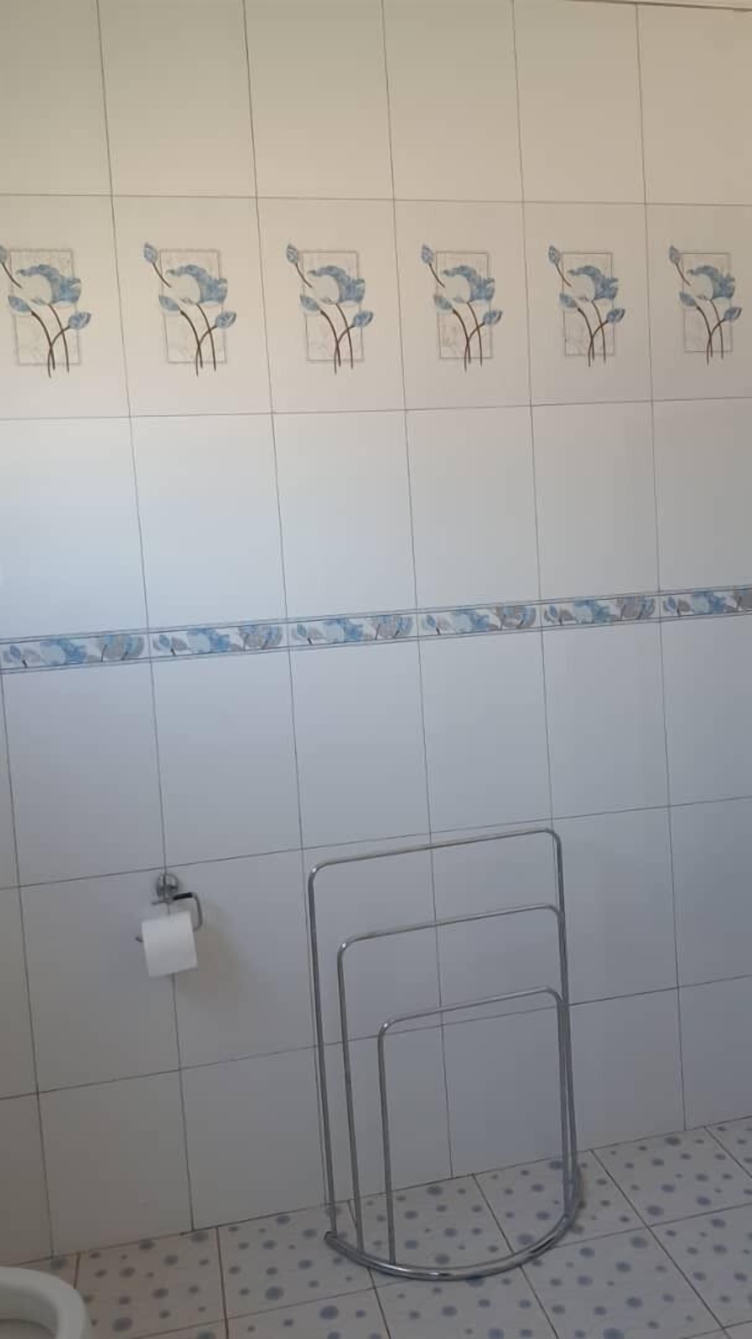 Un baño con azulejos blancos, un dispensador de papel higiénico y un perchero metálico.