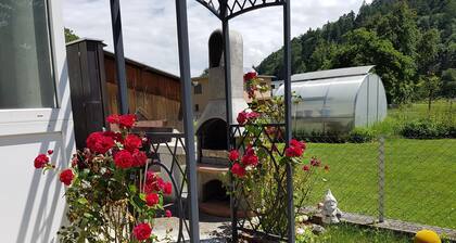 Beautiful 4-room apartment in Feldkirch - for single use