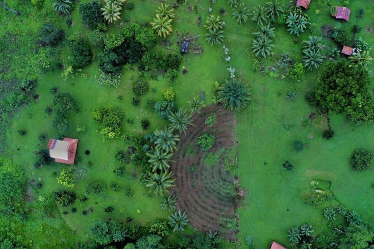 An aerial view of a lush green landscape with several small buildings, likely a resort or lodge, surrounded by dense vegetation and palm trees.