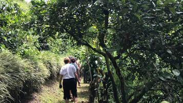 A group of people walking on a narrow path surrounded by dense greenery.