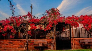 A rustic wooden structure with a brick wall and a wooden door, covered with red flowering vines.