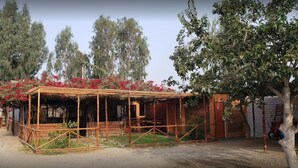 A rustic wooden structure with a bamboo framework, surrounded by greenery and red flowers.