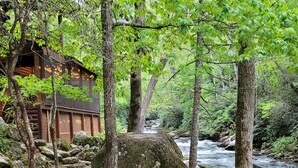 A rustic wooden cabin surrounded by a forest with a flowing stream. - Whitewater Mountain Cabin on the Cullasaja River  (Highlands)