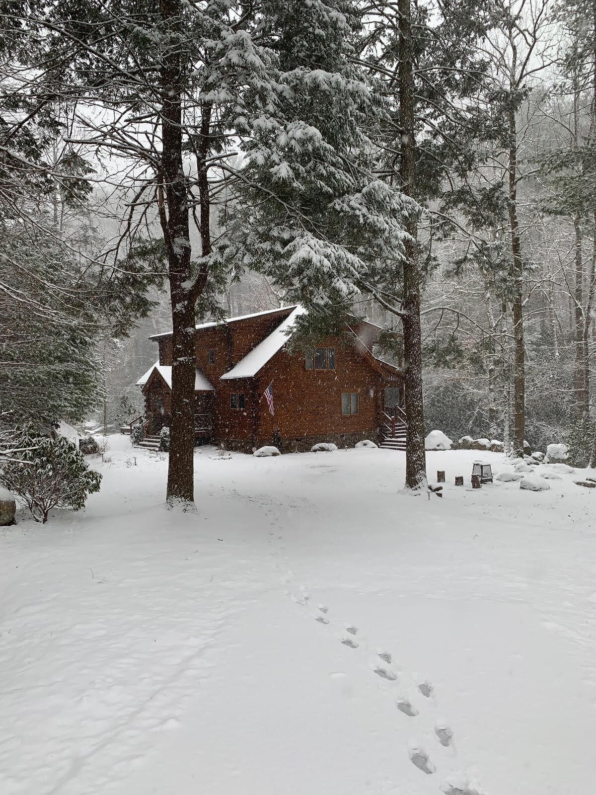 Eine schneebedeckte Hütte mit sichtbarer amerikanischer Flagge, umgeben von Bäumen und einer verschneiten Landschaft.