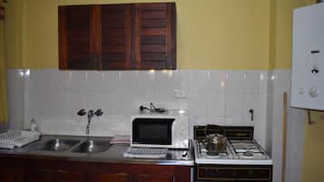 Basic Apartment | Private kitchen | Full-size fridge, microwave, oven, stovetop