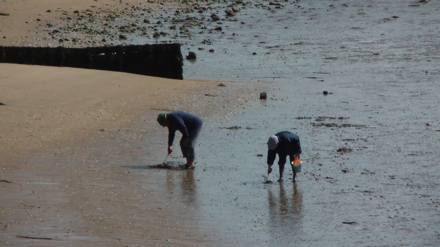 Deux personnes sur une plage de sable : l’une est penchée et l’autre est debout, tenant un seau.