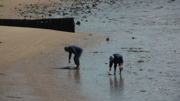 Two people on a sandy beach, one bending over and the other standing with a bucket.