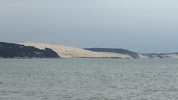 Ein Strand mit Dünen und ruhiger See.