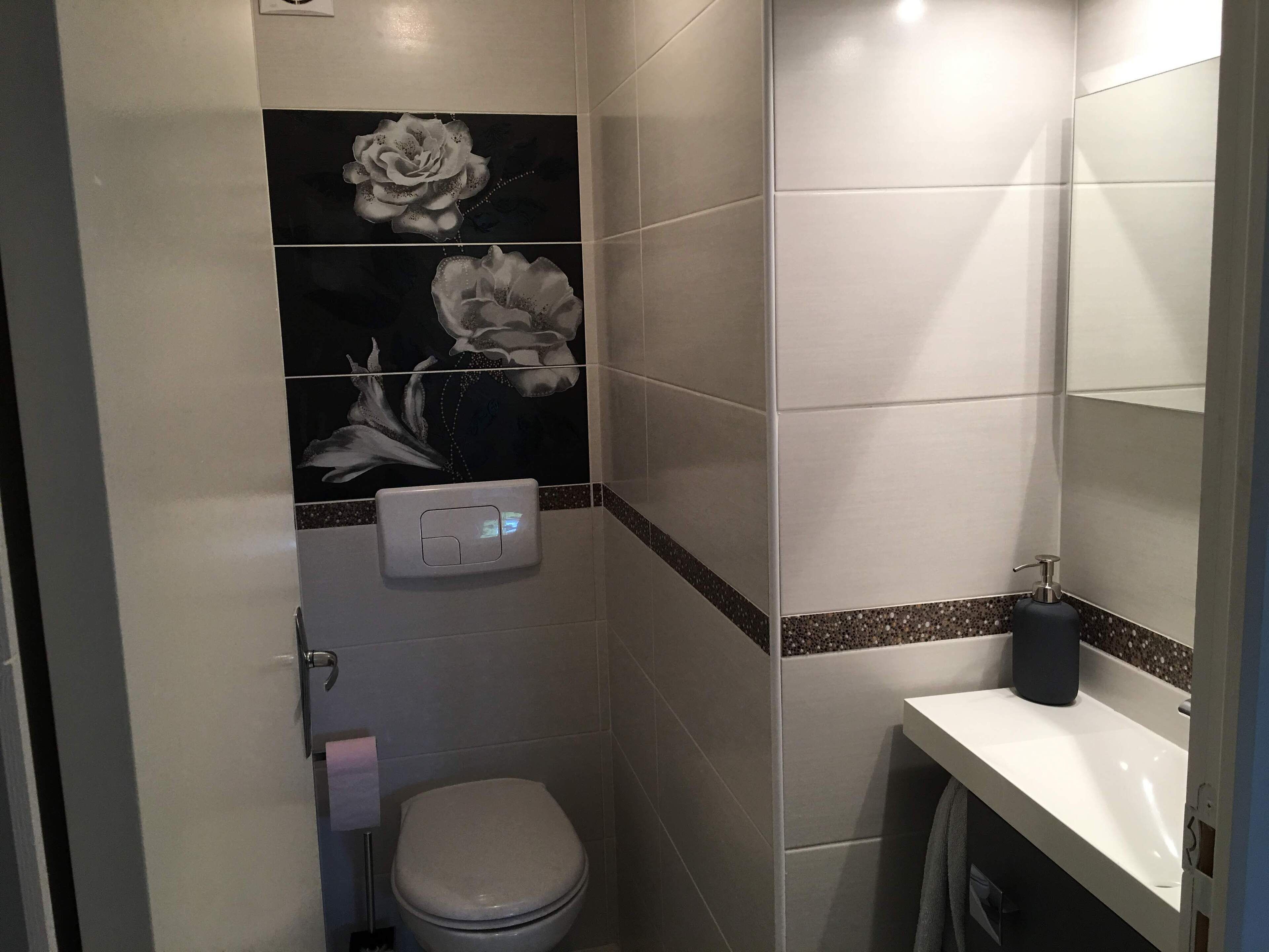 Een kleine badkamer met toilet, handdroger en spiegel.