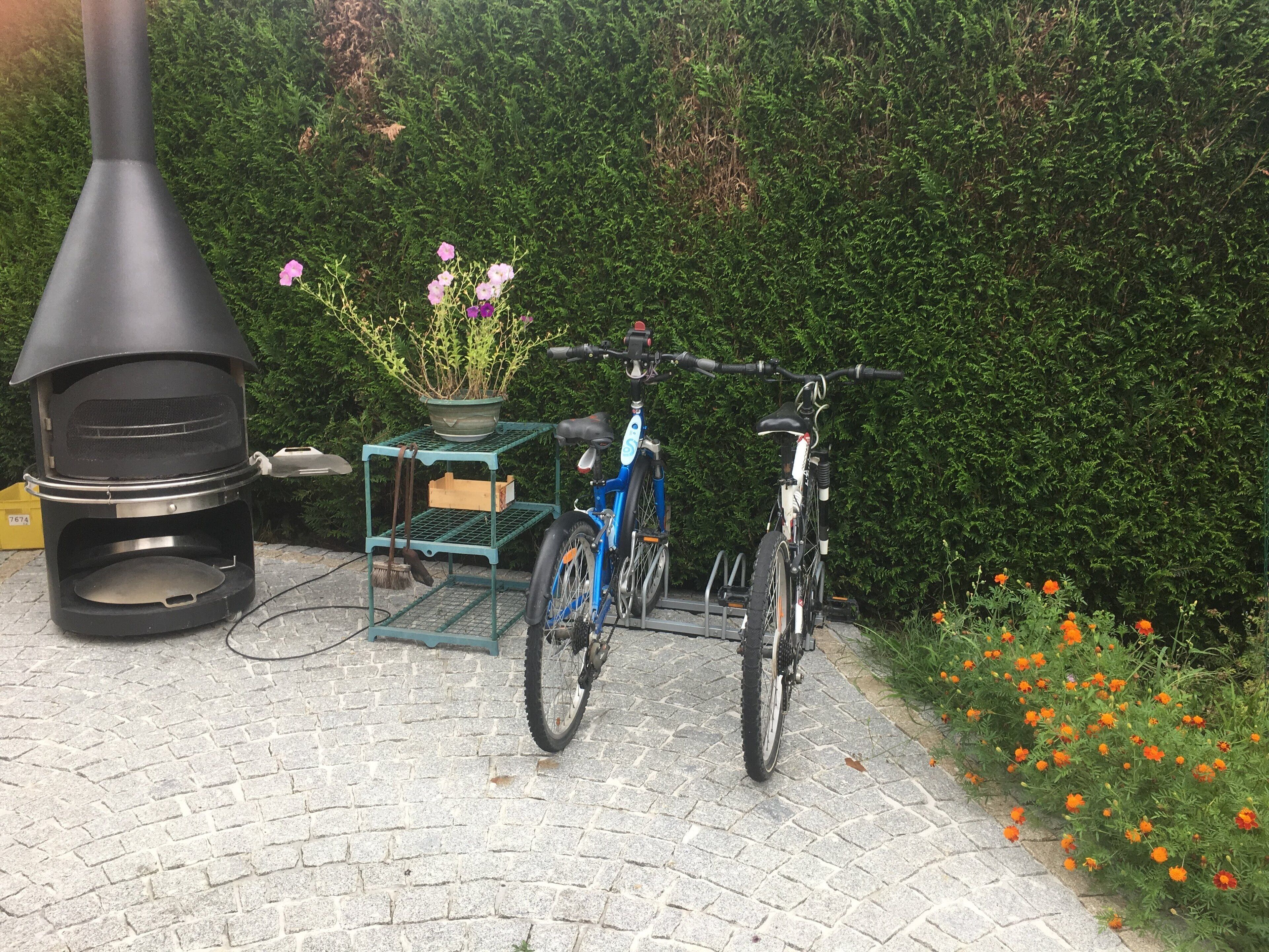 A black outdoor grill, a blue bicycle, and a potted plant with flowers.
