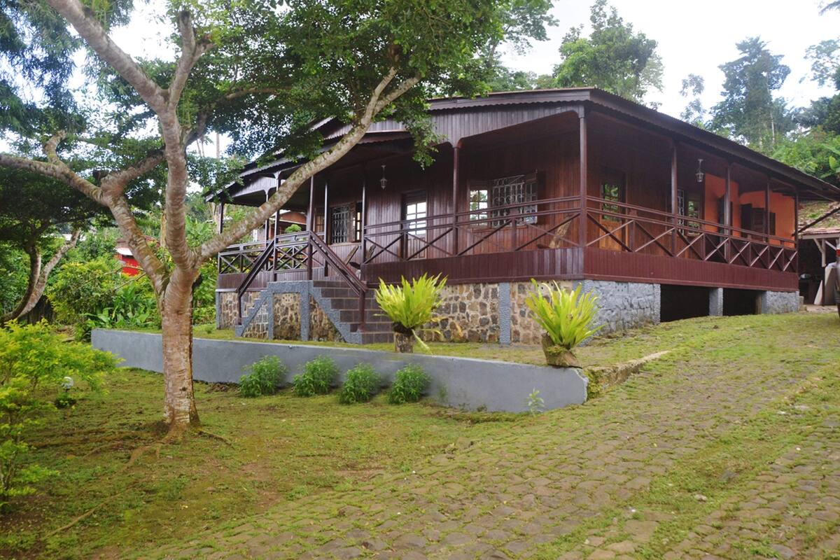 Une maison en bois avec un porche et des marches, entourée de verdure.