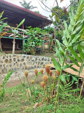 Restaurant - Guest House Quinta Natural (Trindade)