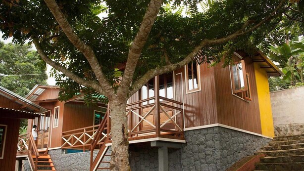 A wooden house with a staircase leading to a balcony, surrounded by trees.