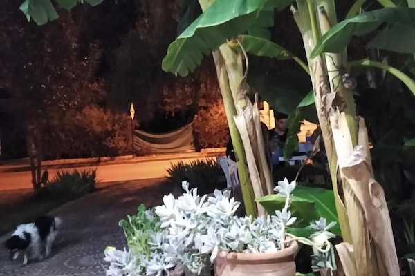 Khuôn viên nơi lưu trú