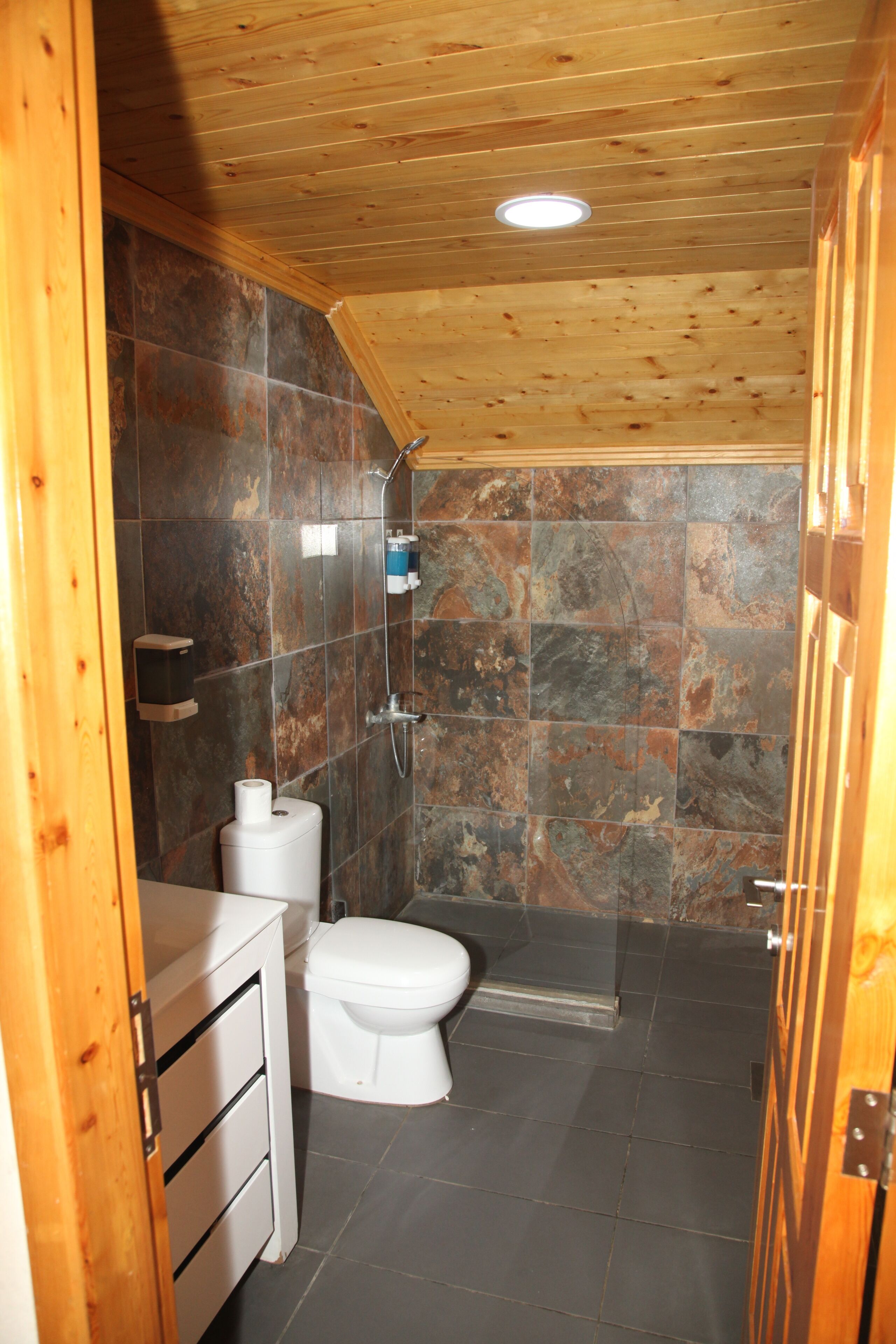 A bathroom with a shower, toilet, and a sink.