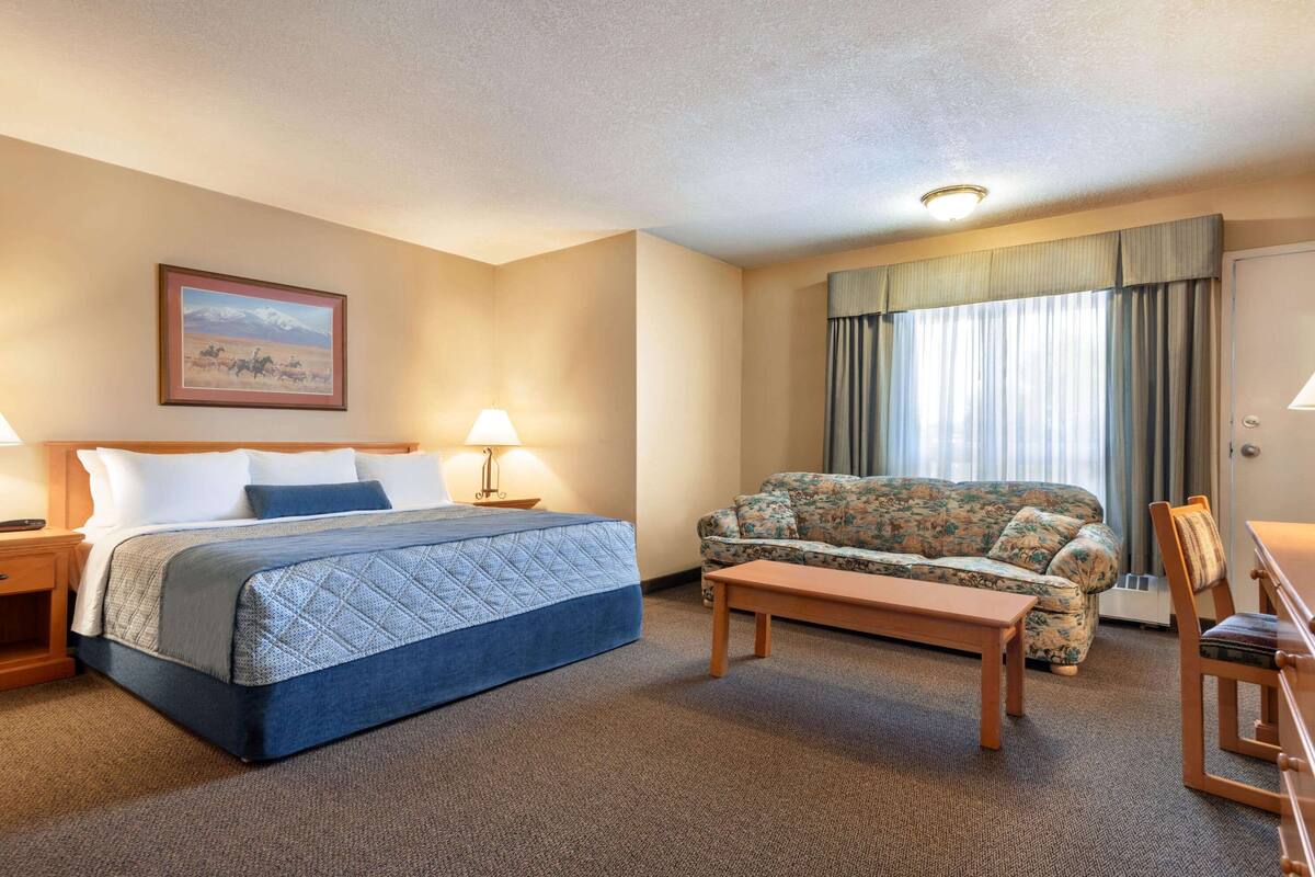 Habitació d'hotel amb llit, sofà, escriptori i làmpada.
