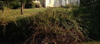  Besuchen Sie das Château Laleuf für eine digitale Entgiftung!