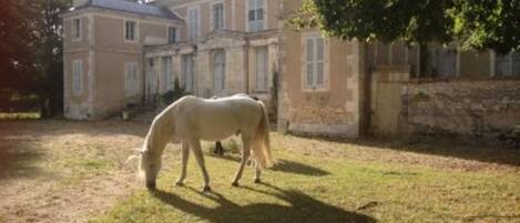 Overnattingsstedets uteområder
